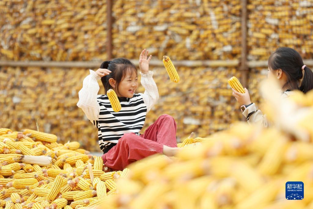 澳门十三第送38元彩金